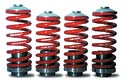 Skunk2 DSM 2G Coilovers