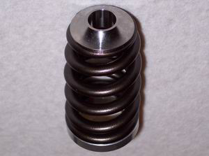 Beehive Valve Springs - DSM