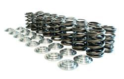 Manley 16 Valve Spring and Retainer Kit (w/o Valve Locks) (16 each) 