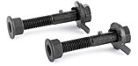 Eibach Front Camber Bolts  - 1G DSM